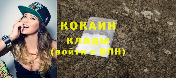 прущие грибы Иннополис