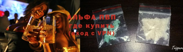 индика Абаза