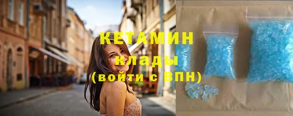 индика Абаза