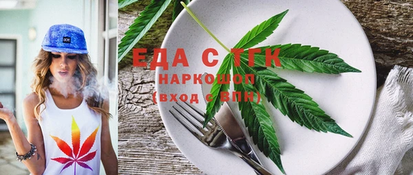 индика Абаза