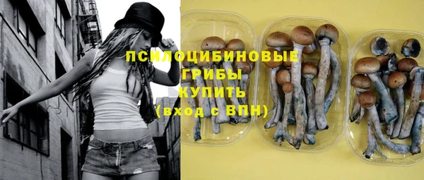 ПСИЛОЦИБИНОВЫЕ ГРИБЫ Абинск