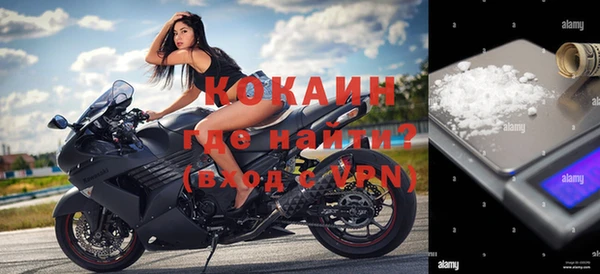 индика Абаза