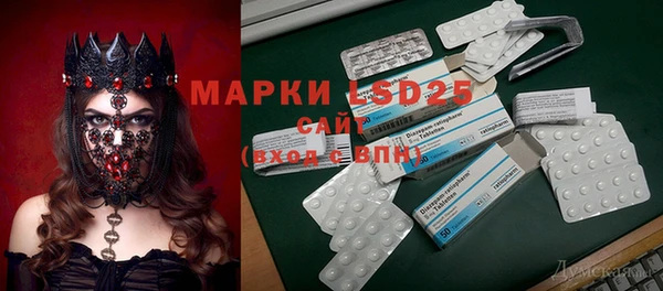 индика Абаза