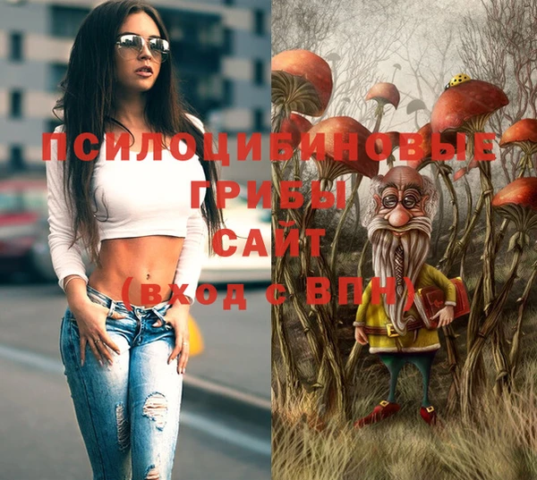 индика Абаза