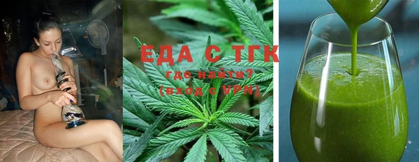 индика Абаза