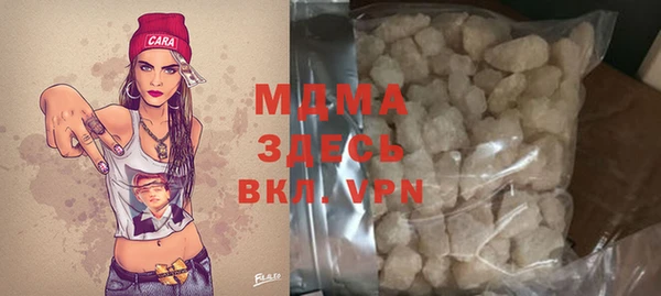 индика Абаза