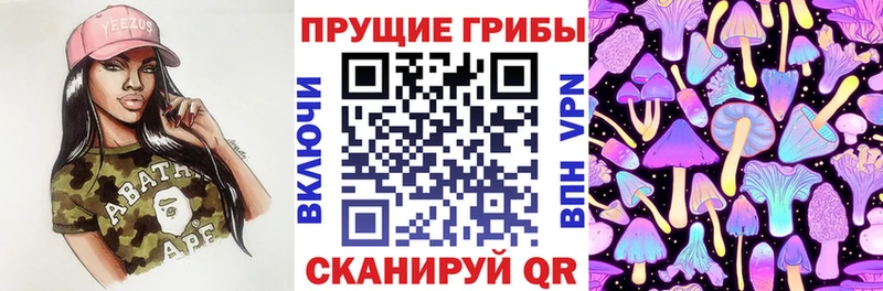 купить наркотики сайты  hydra вход  Галлюциногенные грибы мухоморы  Лодейное Поле 